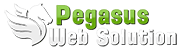 Pegasus Web Solution